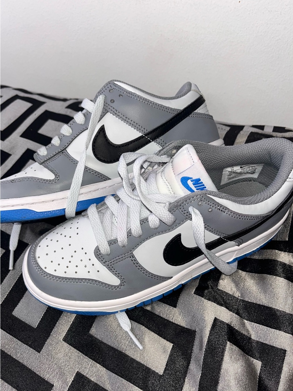 Big Kids Nike Dunk Low